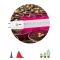 Лампа светодиодная FITO-9W-RB-Т8-G13-NL 9Вт T8 линейная 48LED 2835 IP20 35000ч для растений красн./син. спектр стекло Эра Б0042986