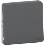 Механизм переключателя проходного 1-кл. СП Mureva Styl 10А IP55 (сх. 6) антрацит SchE MUR37021
