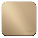 Переключатель проходной 1-кл. ОП Blanca 10А IP20 (сх. 6) 250В с изолир. пластиной титан SchE BLNVA106014